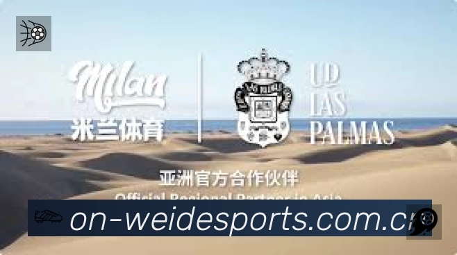 多类型检索